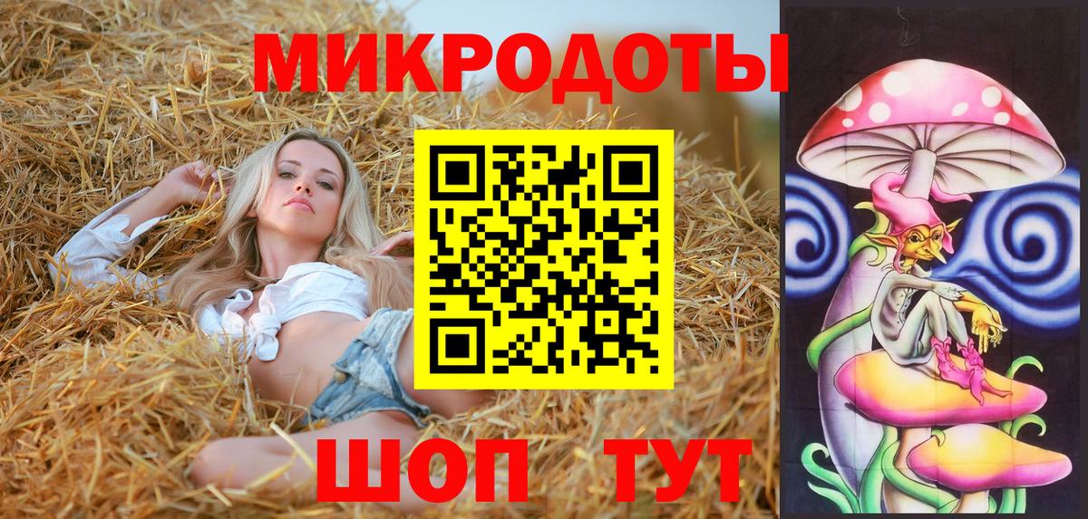 Псилоцибиновые грибы Cubensis Новотроицк