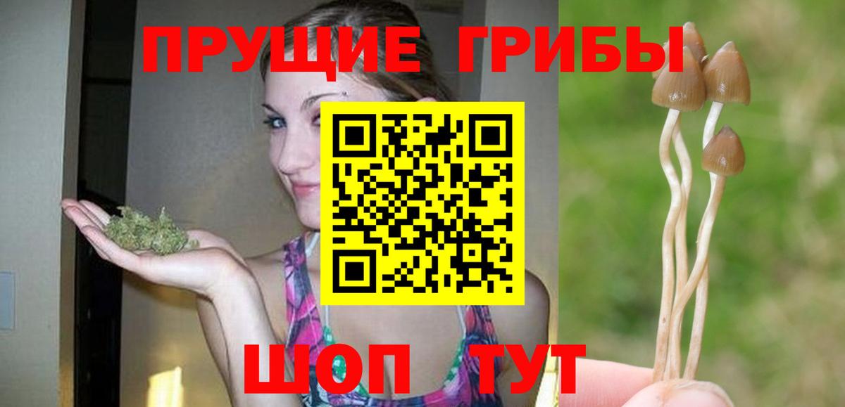 Новотроицк  Галлюциногенные грибы GOLDEN TEACHER  Вход с VPN 